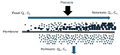 Thumbnail for version as of 15:06, 8 August 2025