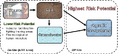 Thumbnail for version as of 17:17, 8 September 2025